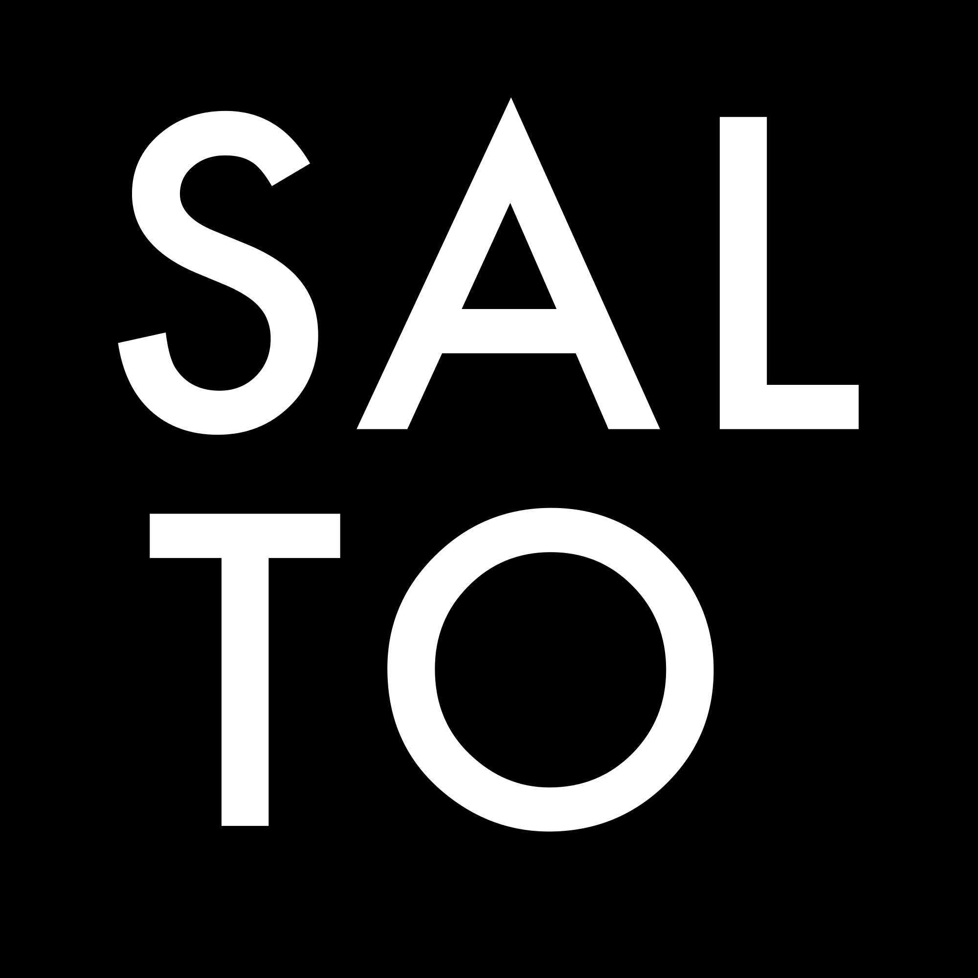 SALTO Logo