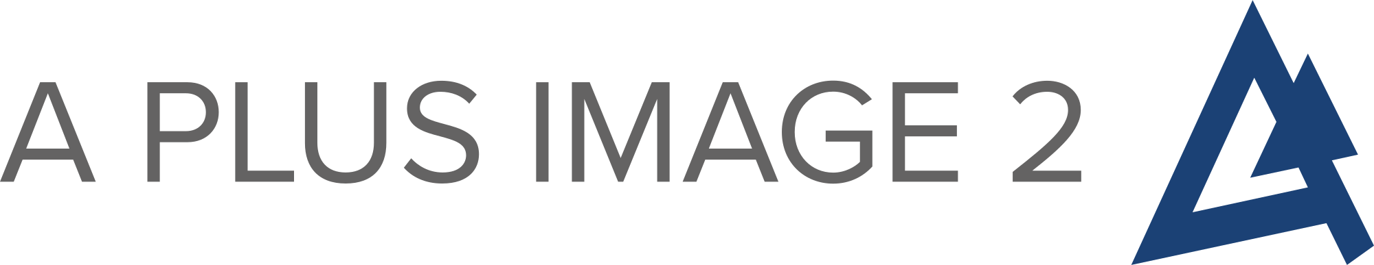 A Plus Image 2 Logo