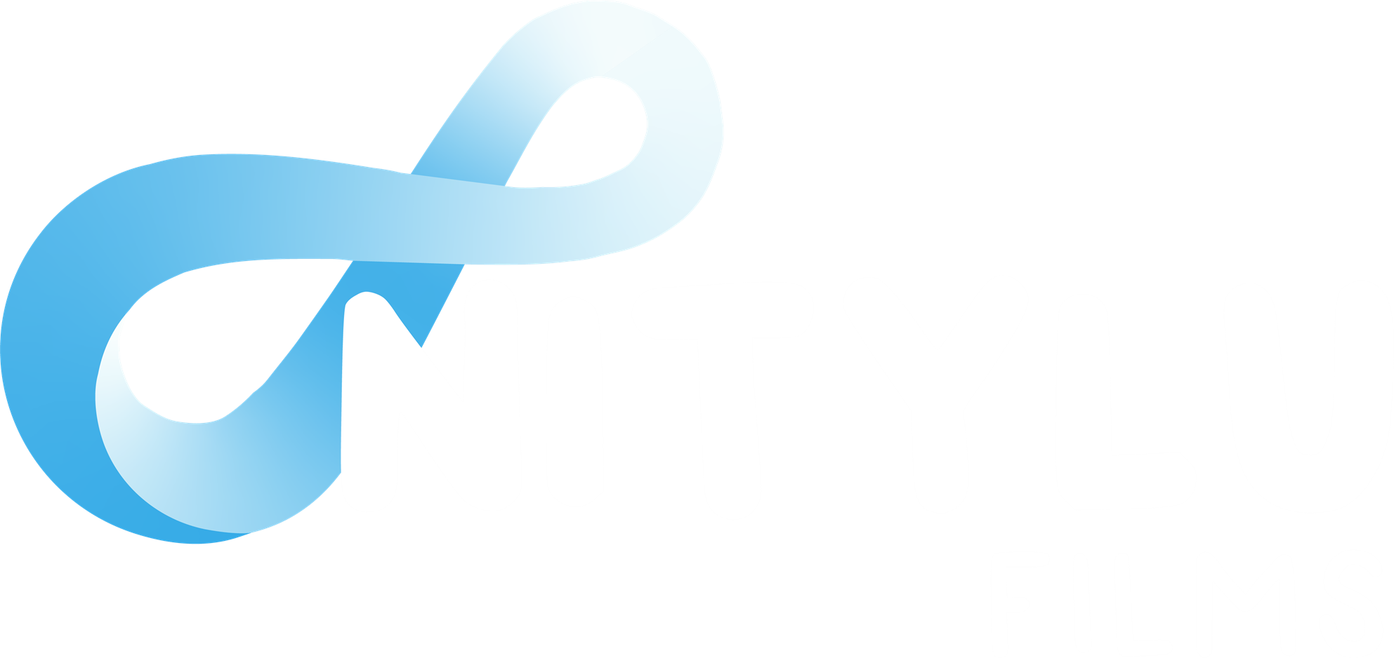Nitylu Films Logo