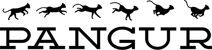 Pangur Animation Logo