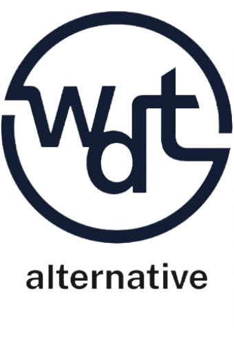 Walt Disney Television Alternative Logo
