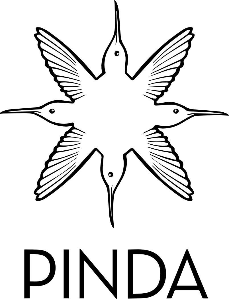 Pinda Producciones Logo