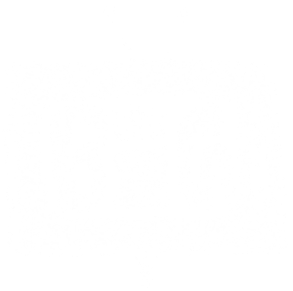 Little Big Films Logo