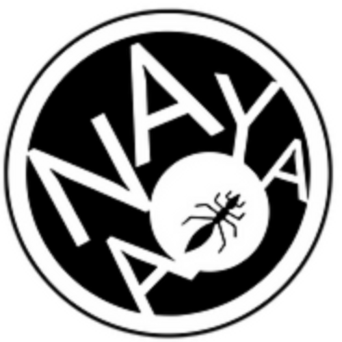 Anaya Logo