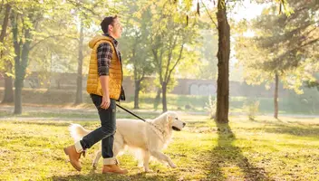 Na plan do serialu poszukujemy mężczyzny z psem